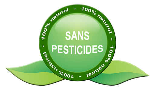 Les légumes bios et les fruits bio sont exempts de pescticides